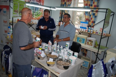 Annual show November 2016_4