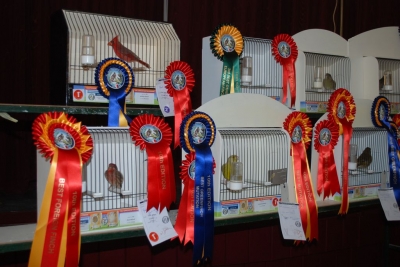 Annual show November 2016_1