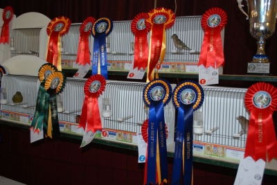 Annual show November 2016_2