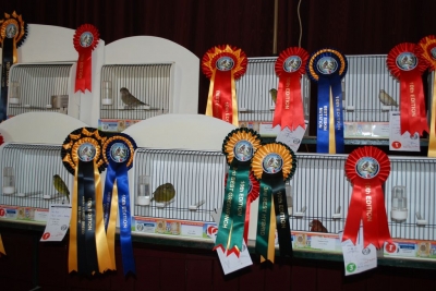 Annual show November 2016_3