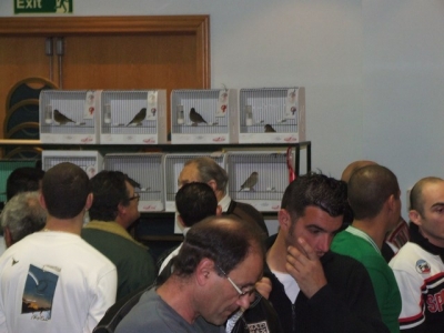 2nd Annual Show-Mosta_31