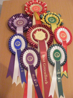 2nd Annual Show-Mosta_33