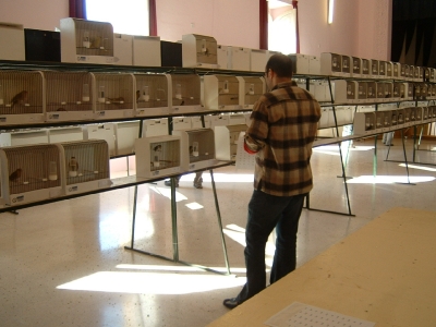3rd Annual Show-Attard_3